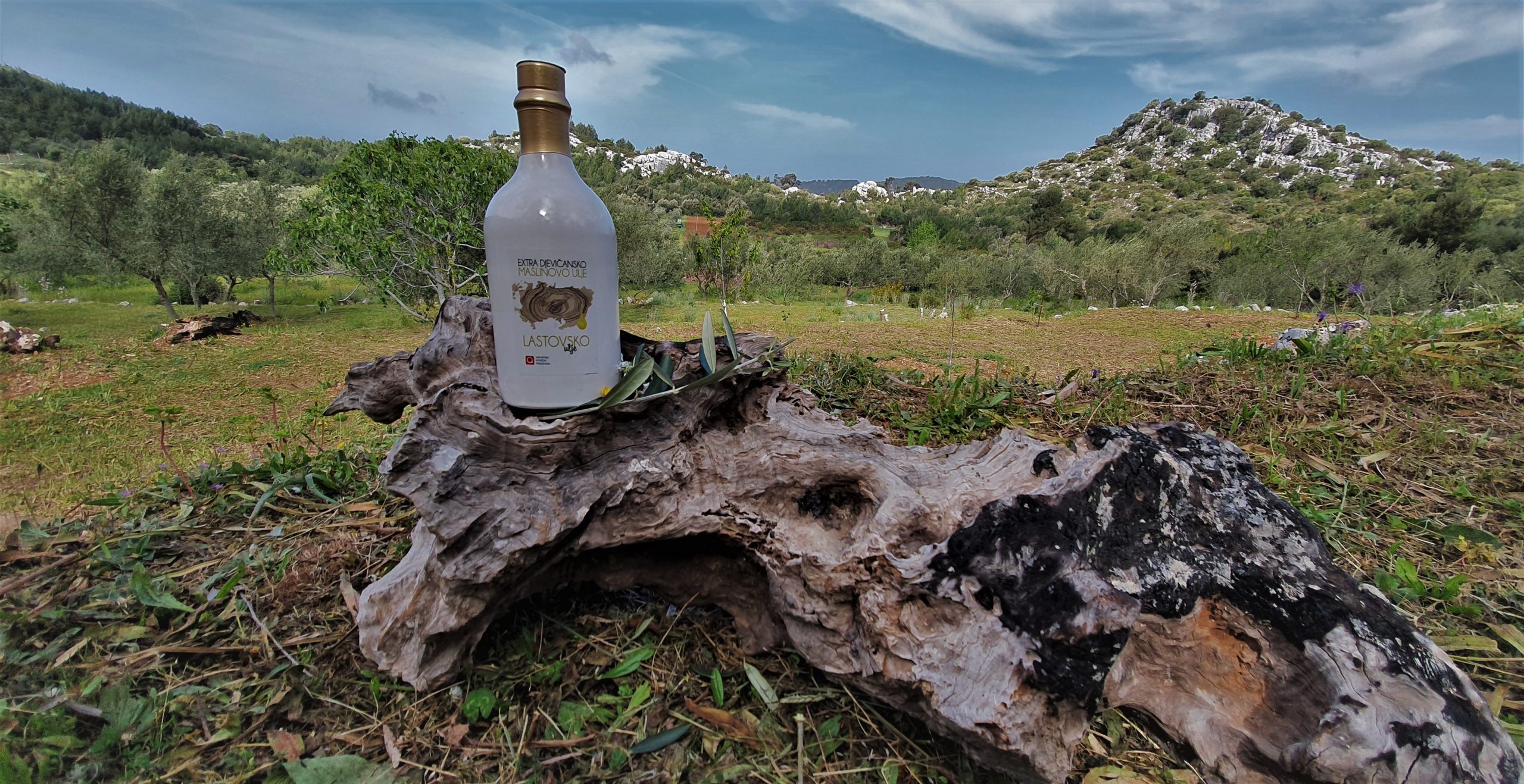 Pročitajte više o članku Od stabla do boce