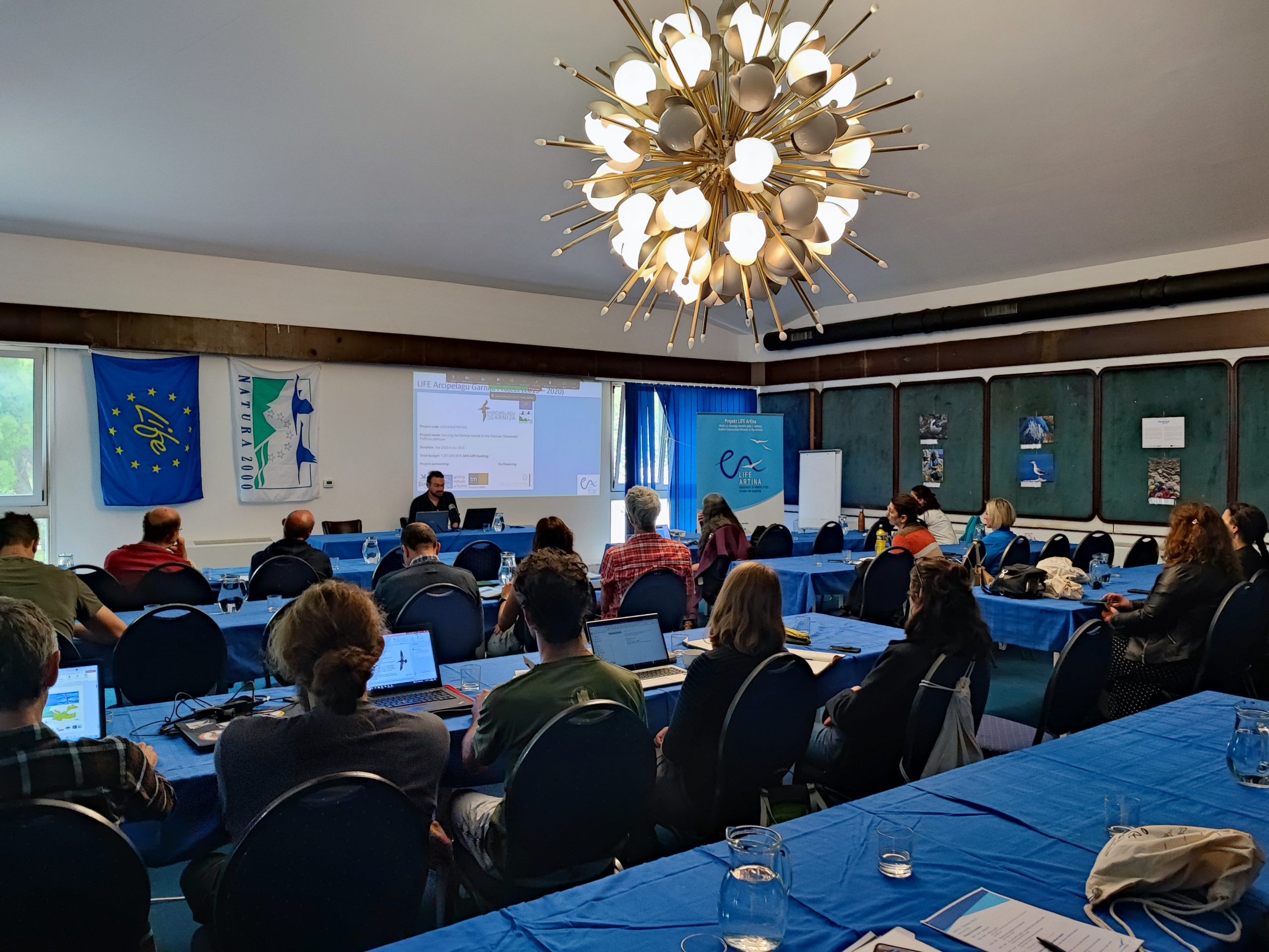 Pročitajte više o članku Završna konferencija projekta LIFE Artina – Mreža za očuvanje morskih ptica u Jadranu