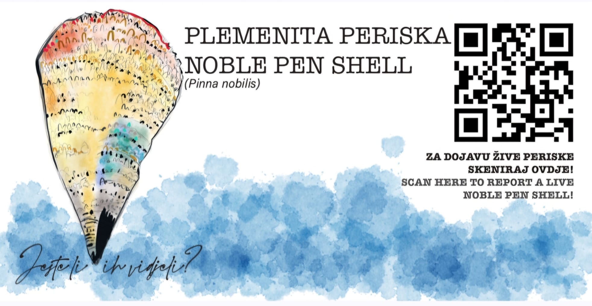 Pročitajte više o članku OČUVANJE PLEMENITE PERISKE U JADRANU