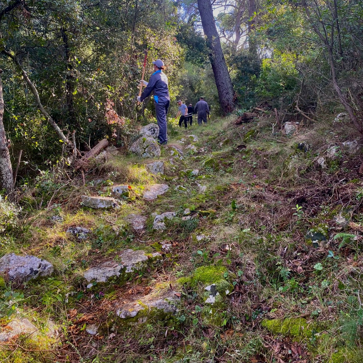 Pročitajte više o članku Održavanje i uređenje staza